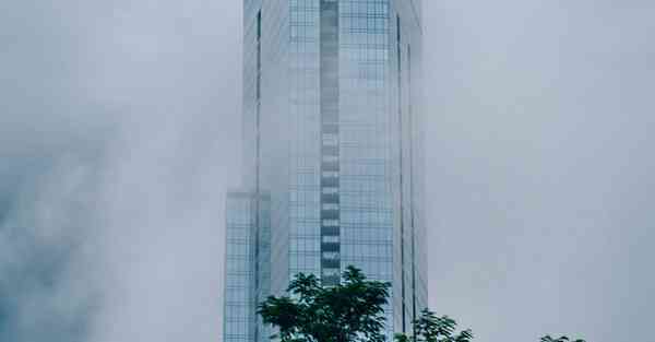 咸鱼大数据审核的重要性