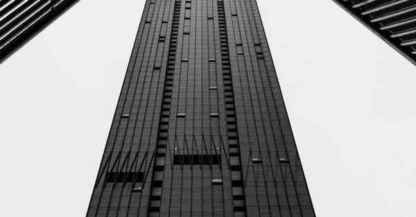 西方大数据舆论的兴起