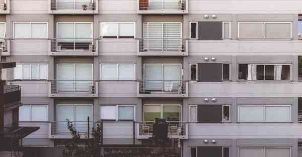 雷蛇智能机器人伙伴：开启人机交互新时代