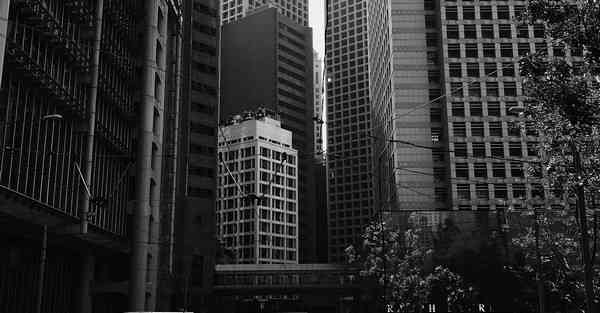 老高与小茉CHATGPT后续