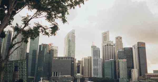 生态大数据治理工作