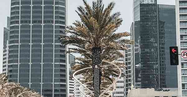 跟chatgpt一样的工具