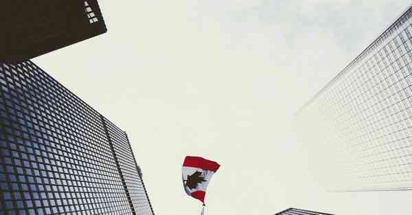 老高与小茉CHATGPT后续