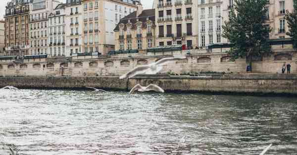 人工智能行业地位