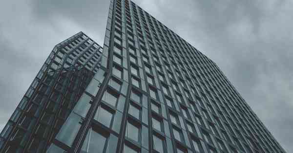 神经科学人工智能（神经科学人工智能实验报告）