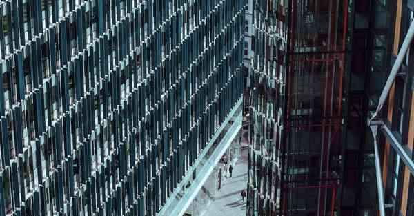 基层大数据应用：解读庞大而神秘的世界