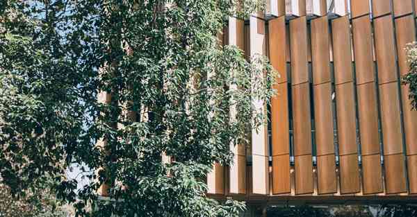 咸鱼大数据审核的重要性