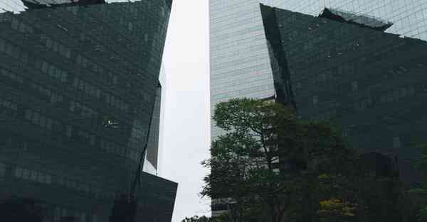 大数据国资企业