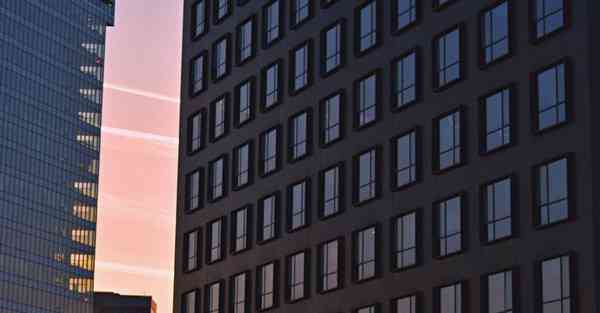 合体机器人智能：融智慧与实用的未来发展方向