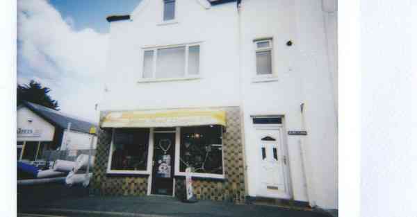 老高与小茉CHATGPT后续