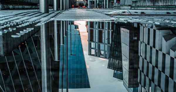 十一结婚大数据