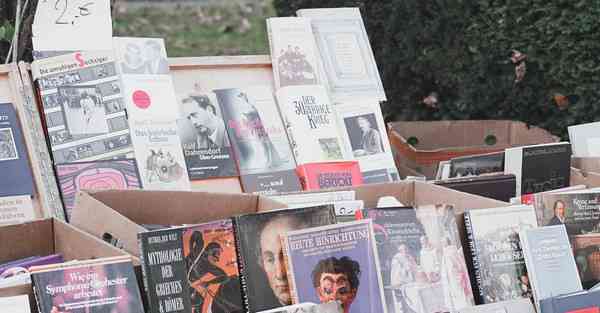 大数据电商数据摘要