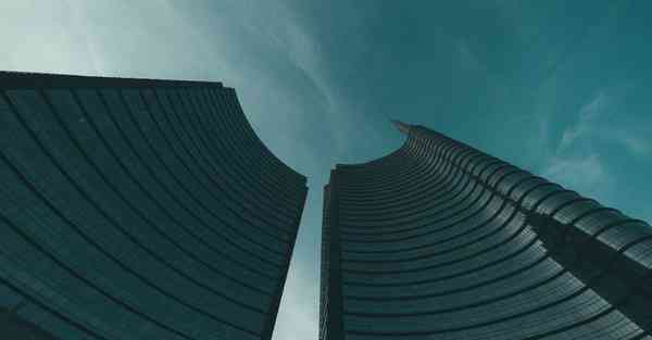 远程工作大数据