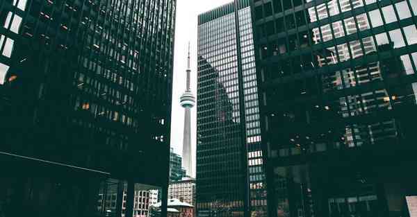 美国CHATGPT退学，英国留学CHATGPT