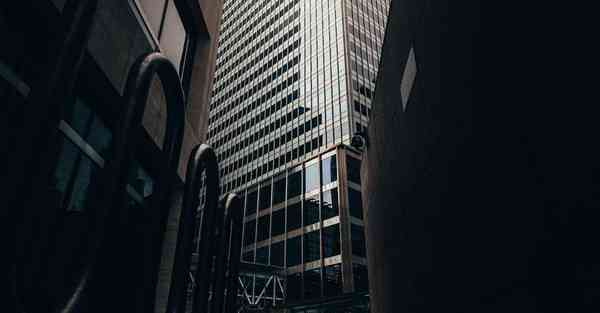 咸鱼大数据审核的重要性