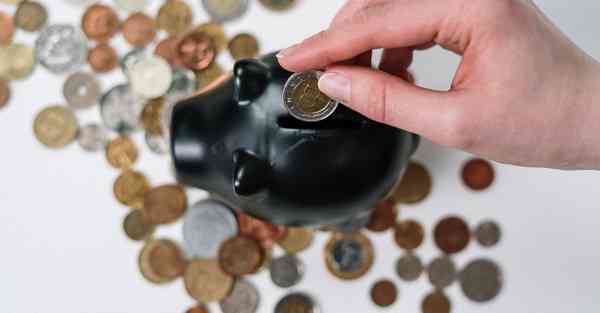 老高与小茉CHATGPT后续